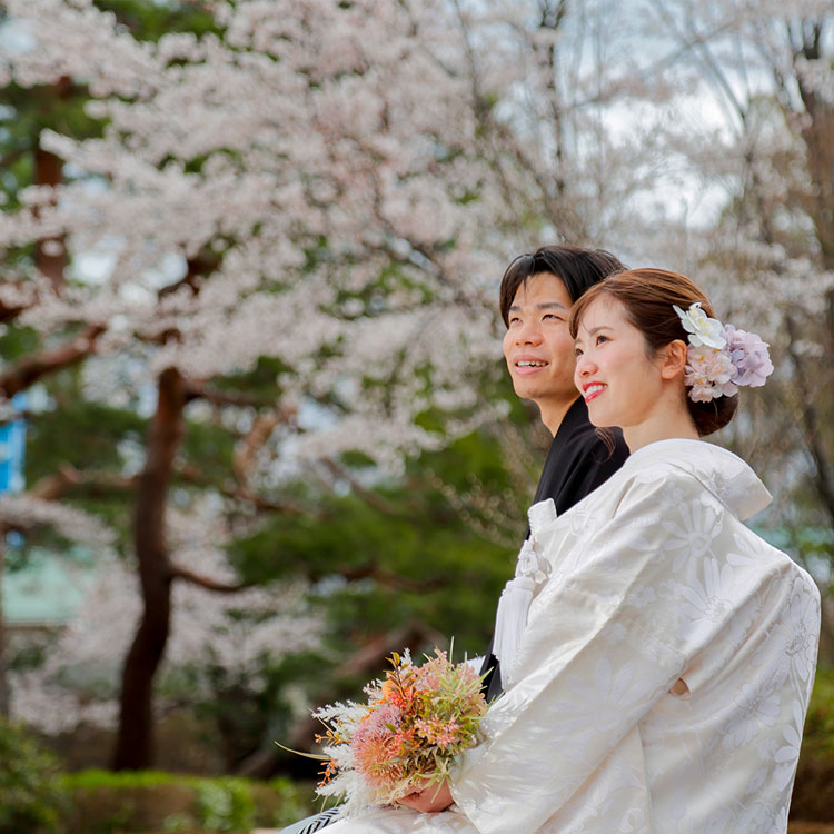 2024年桜神社結婚式