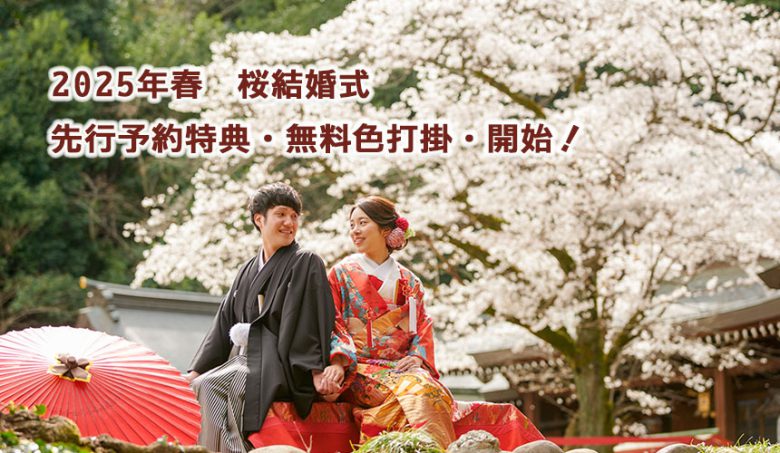 2024年桜神社結婚式