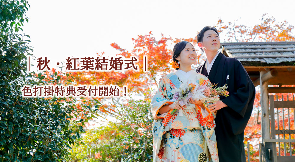 秋の紅葉特別特典付き神社結婚式