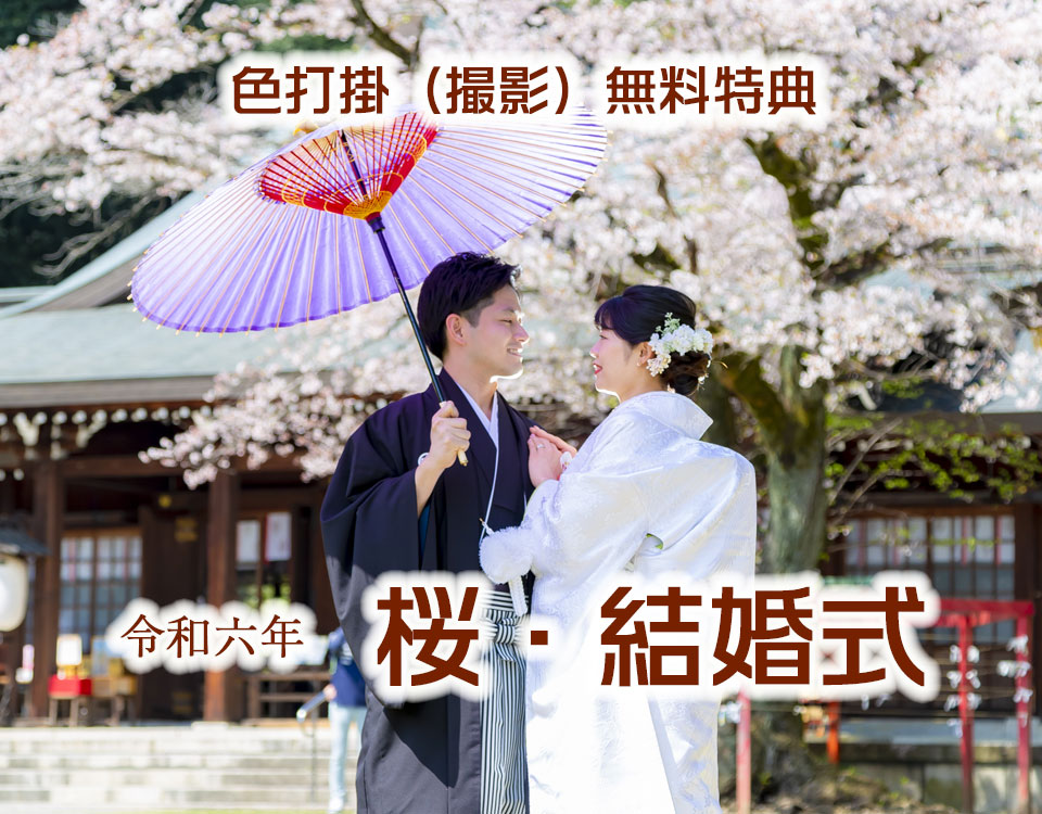 2024桜結婚式